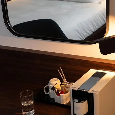 Osko Toulouse Aeroport Otel 4*